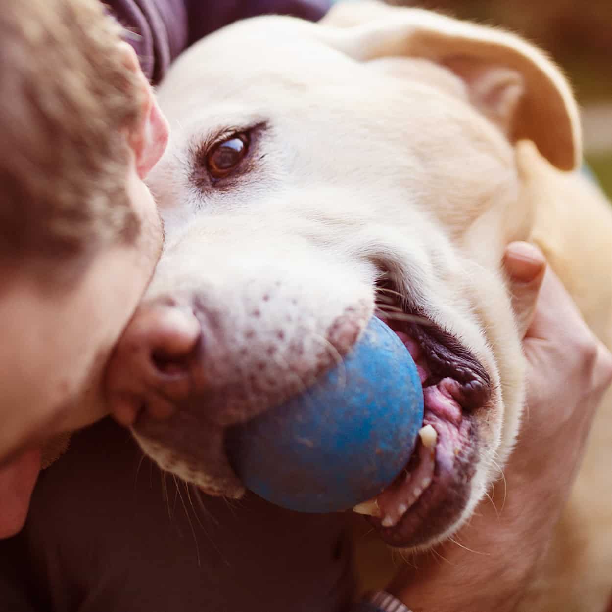 man and dog playing together during at-home addiction rehab
